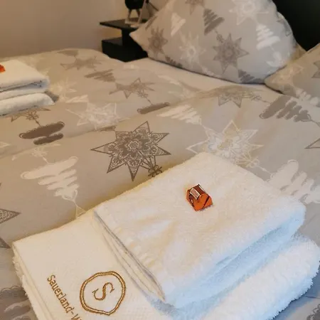 An Der Elpe Zwischen Winterberg Und Fun Appartement *