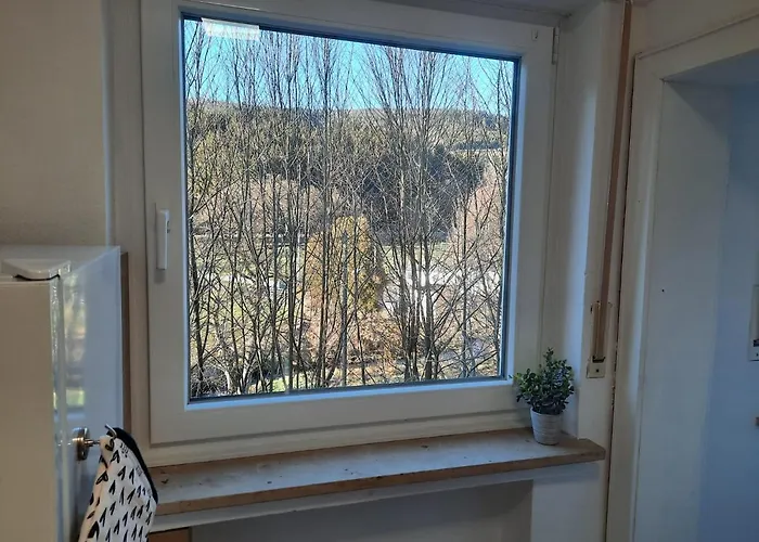 公寓 An Der Elpe Zwischen Winterberg Und Fun *